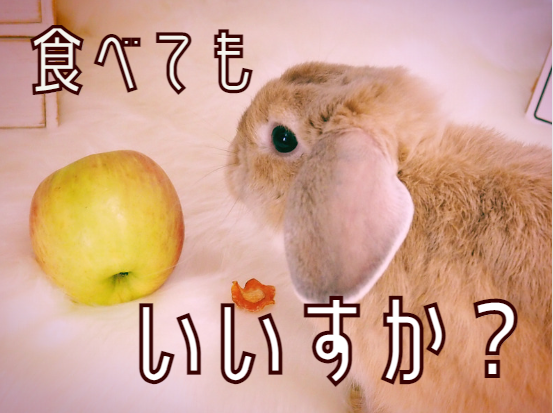 パイナップルの作り方